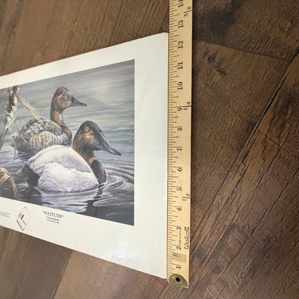 Laura Mark-Finberg Solitude Canvasbacks Print 18x14 Ducks Waterfowl - Picture 6 of 16